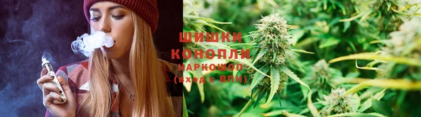 PSILOCYBIN Киреевск