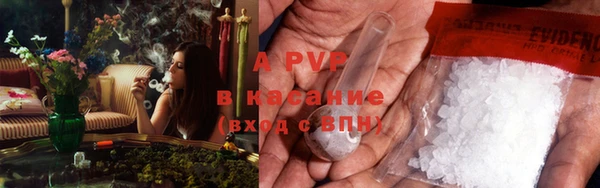 PSILOCYBIN Киреевск