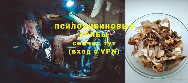 ГАЛЛЮЦИНОГЕННЫЕ ГРИБЫ Кинешма