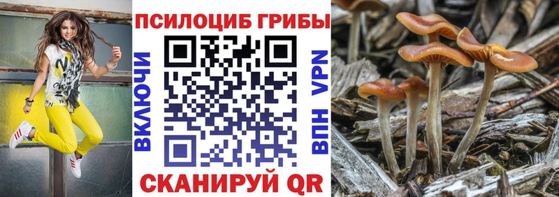 Купить где  Верхняя Пышма  Галлюциногенные грибы мицелий 
